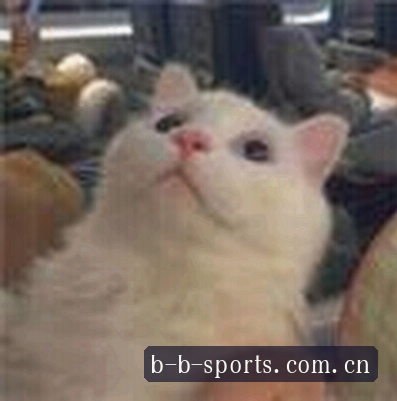 张鹏